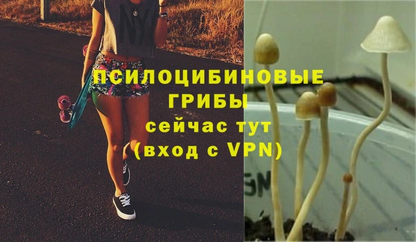 каннабис Каменка