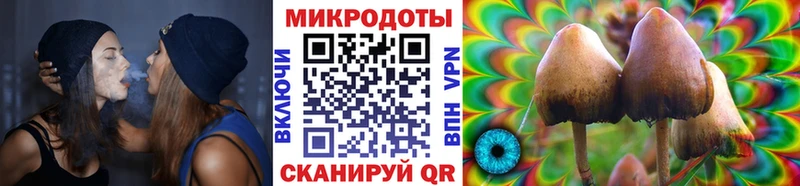 Галлюциногенные грибы Cubensis Самара